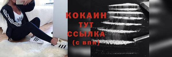 кокс Арсеньев