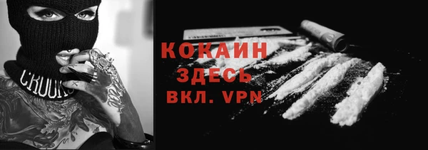 трава Аркадак
