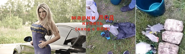 трава Аркадак