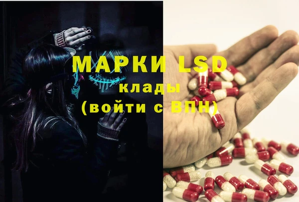 трава Аркадак