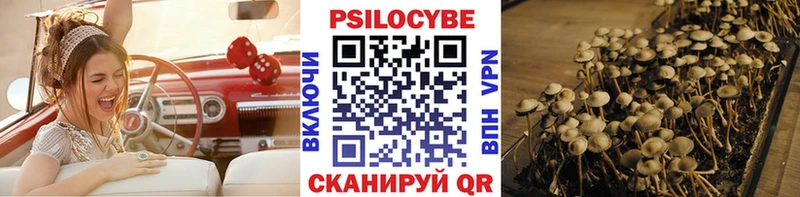 Галлюциногенные грибы Psilocybe  Ростов 